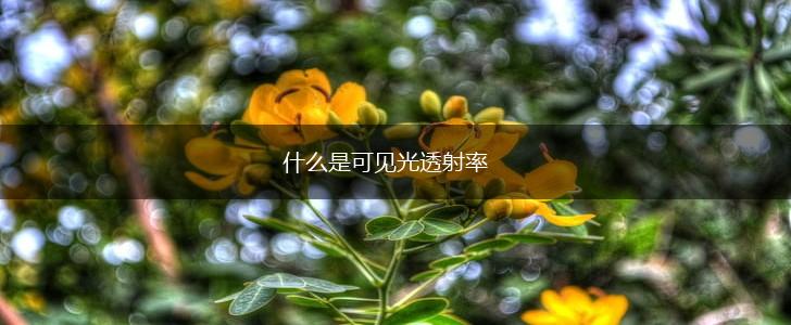 什么是可见光透射率,第1张