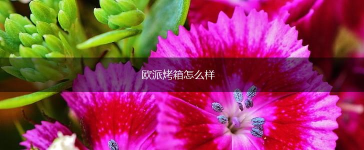 欧派烤箱怎么样,第1张