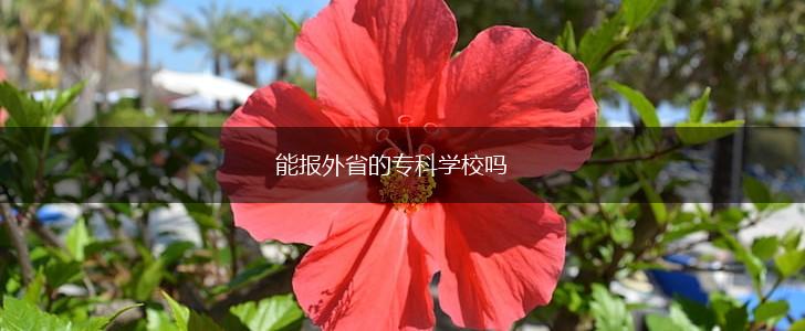 能报外省的专科学校吗,第1张