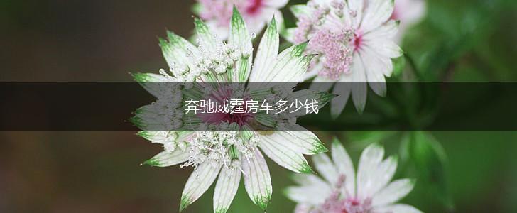 奔驰威霆房车多少钱,第1张