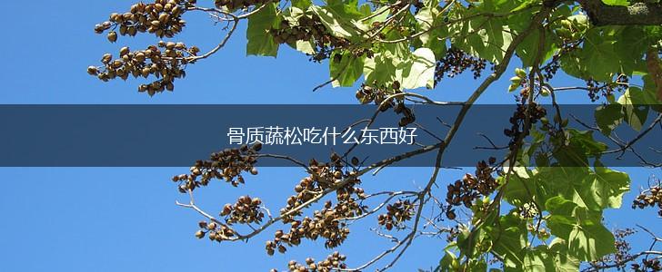 骨质蔬松吃什么东西好,第1张