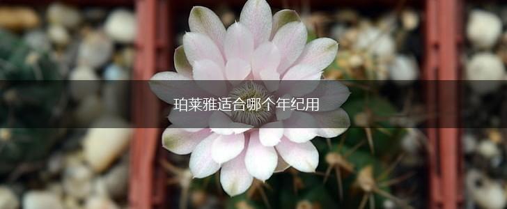 珀莱雅适合哪个年纪用,第1张