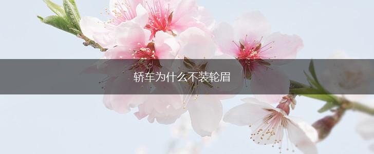 轿车为什么不装轮眉,第1张