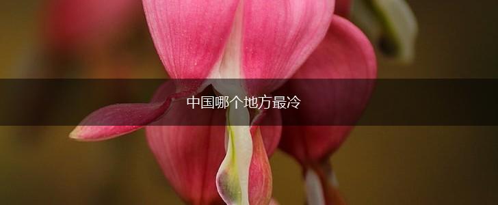 中国哪个地方最冷,第1张