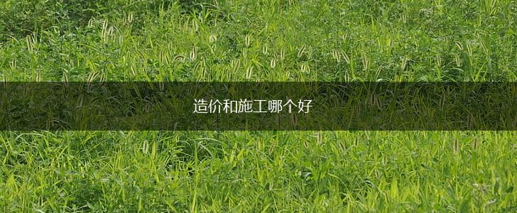 造价和施工哪个好,第1张