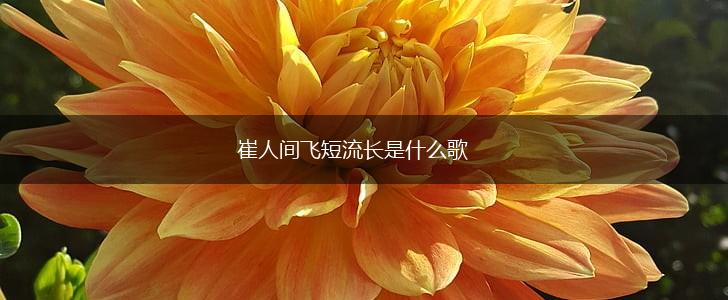 崔人间飞短流长是什么歌,第1张