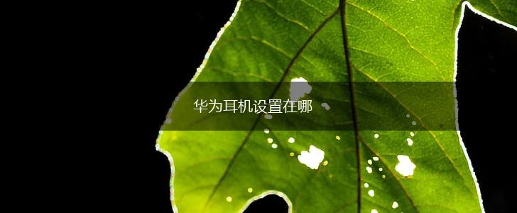 华为耳机设置在哪,第1张