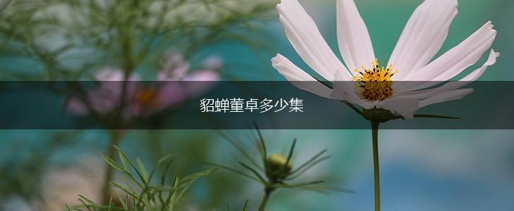 貂蝉董卓多少集,第1张