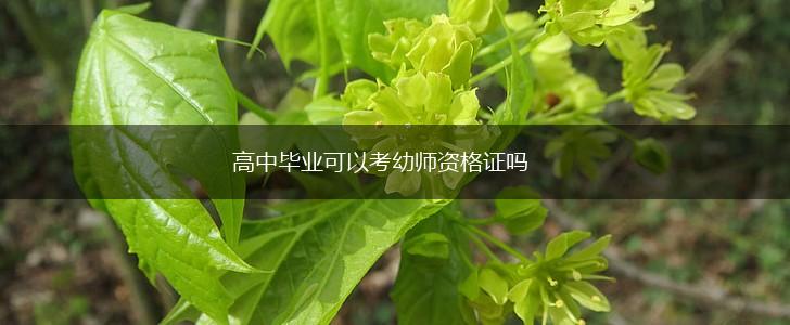 高中毕业可以考幼师资格证吗,第1张