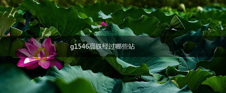g1546高铁经过哪些站,第1张