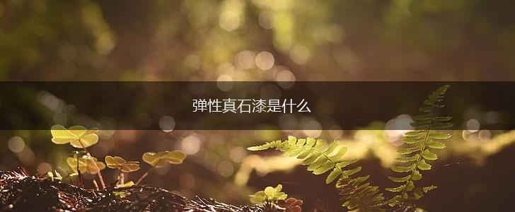 弹性真石漆是什么,第1张
