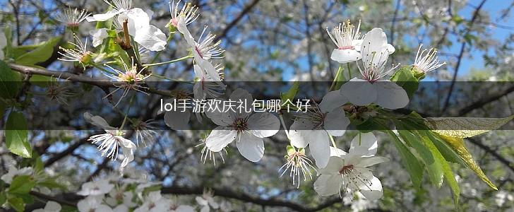 lol手游欢庆礼包哪个好,第1张