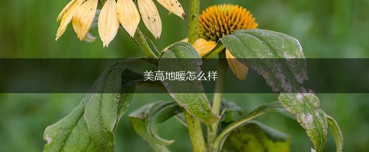 美高地暖怎么样,第1张