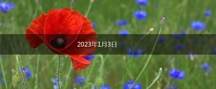 2023年1月3日,第1张
