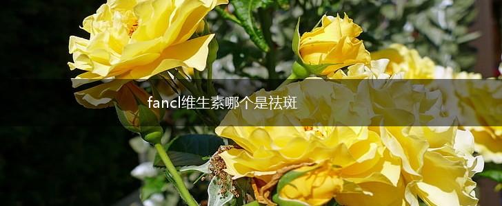 fancl维生素哪个是祛斑,第1张