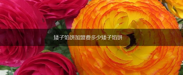 矮子馅饼加盟费多少矮子馅饼,第1张