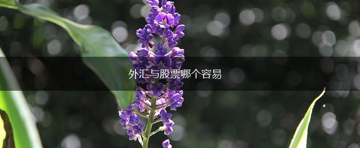 外汇与股票哪个容易,第1张