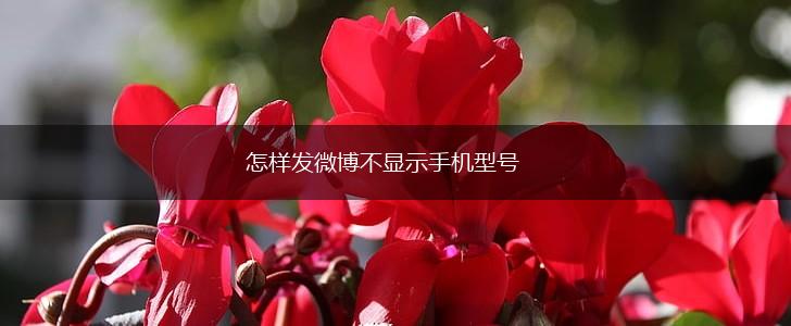 怎样发微博不显示手机型号,第1张