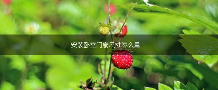 安装卧室门扇尺寸怎么量,第1张
