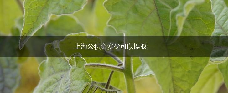上海公积金多少可以提取,第1张