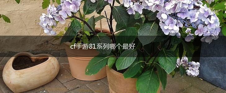 cf手游81系列哪个最好,第1张