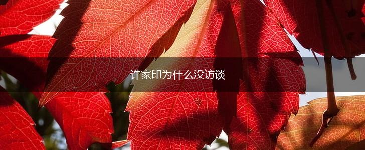 许家印为什么没访谈,第1张