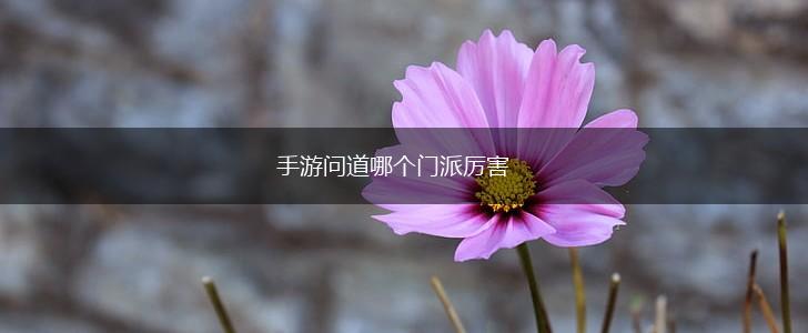 手游问道哪个门派厉害,第1张