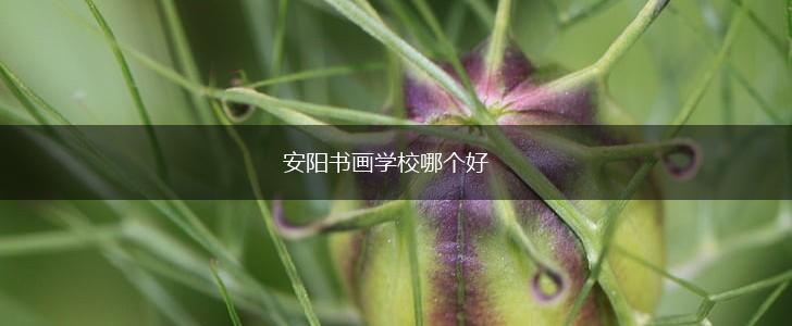 安阳书画学校哪个好,第1张