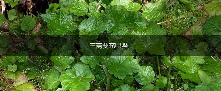 车需要充电吗,第1张