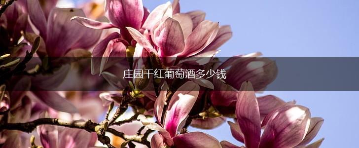 庄园干红葡萄酒多少钱,第1张