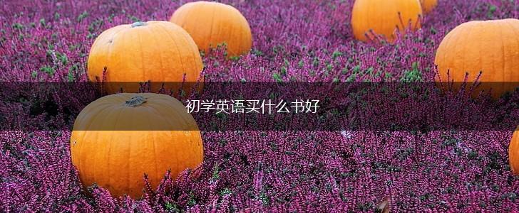 初学英语买什么书好,第1张