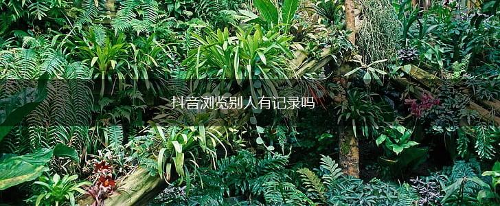 抖音浏览别人有记录吗,第1张