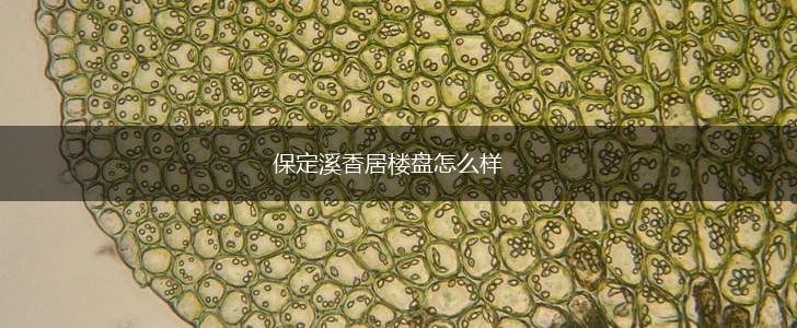 保定溪香居楼盘怎么样,第1张