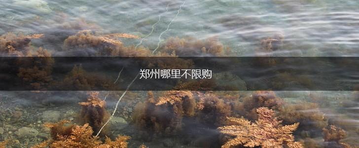 郑州哪里不限购,第1张