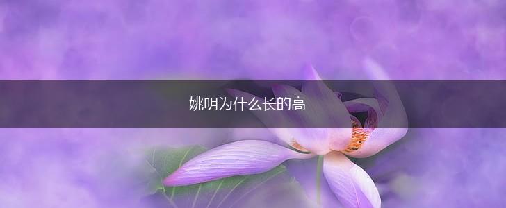 姚明为什么长的高,第1张