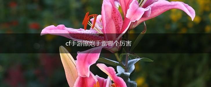 cf手游擦炮手雷哪个厉害,第1张