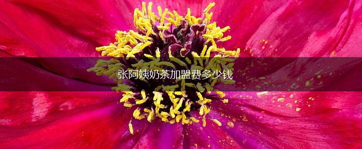 张阿姨奶茶加盟费多少钱,第1张