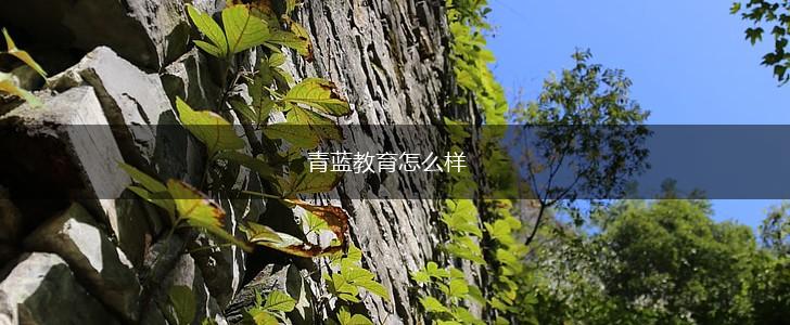 青蓝教育怎么样,第1张