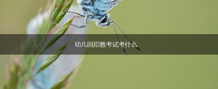 幼儿园招教考试考什么,第1张