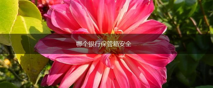 哪个银行保管箱安全,第1张