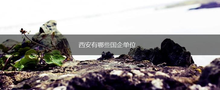 西安有哪些国企单位,第1张