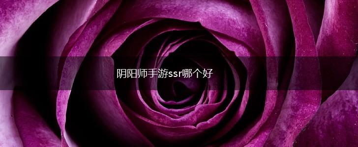 阴阳师手游ssr哪个好,第1张