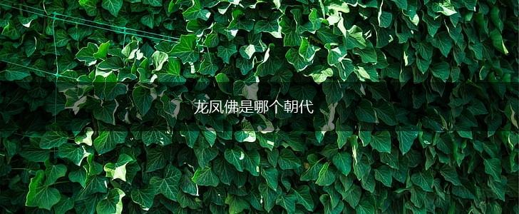 龙凤佛是哪个朝代,第1张