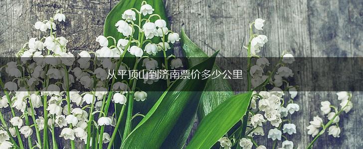 从平顶山到济南票价多少公里,第1张