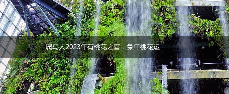 属马人2023年有桃花之喜，兔年桃花运,第1张