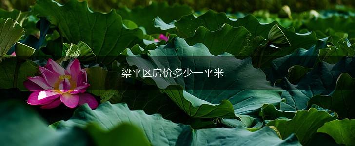 梁平区房价多少一平米,第1张
