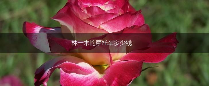 林一木的摩托车多少钱,第1张