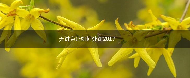 无进京证如何处罚2017,第1张
