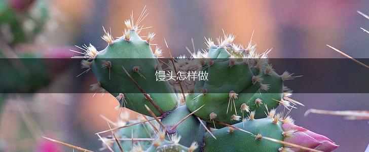 馒头怎样做,第1张