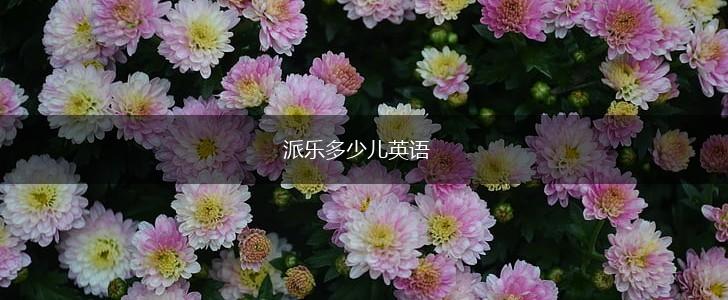 派乐多少儿英语,第1张